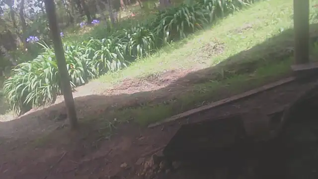 habdiela online show from 04/19/26, 04:06