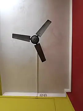 susmicpl online show from 02/03/26, 05:29