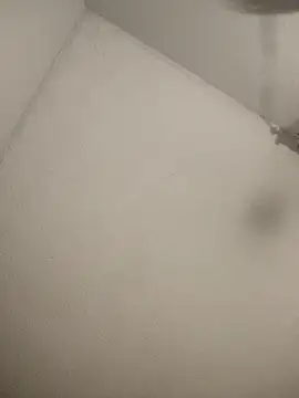 Blessdsoulja44 online show from 03/07/26, 08:11