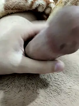 Zepe 12 online show from 02/13/26, 11:34