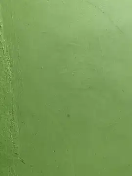 Tamil Mithra online show from 03/17/26, 12:52