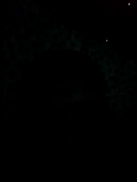UntidyGuar online show from 11/04/25, 03:16