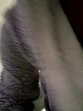 Snapshot of cameron334 chatting on 11/01/25, 01:29 cameron334 online show from 11/01/25, 01:29