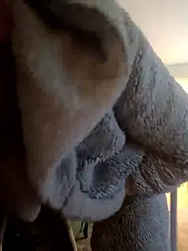 Snapshot of cameron334 chatting on 01/12/26, 12:10 cameron334 online show from 01/12/26, 12:10