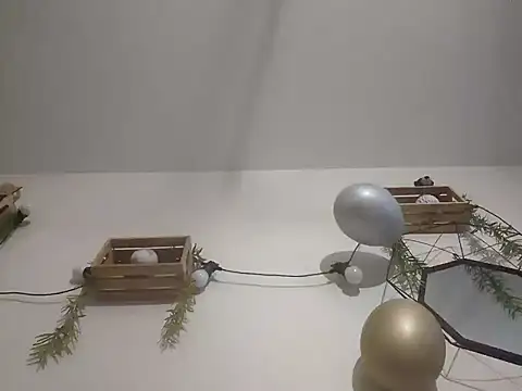 nousmeme0123 online show from 02/20/26, 02:52