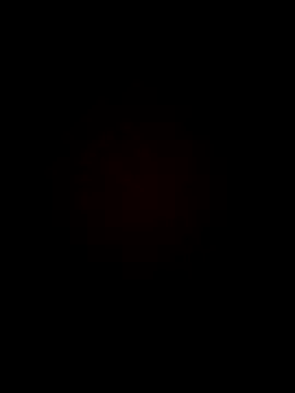 armandoluisorrrkw3323 online show from 04/11/26, 12:37