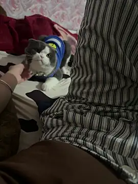 keelinnn19 online show from 02/18/26, 02:02