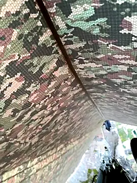 Alabestia12 online show from 11/11/25, 11:21