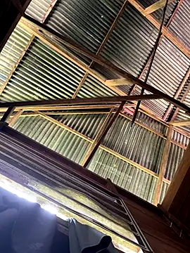 Alabestia12 online show from 12/05/25, 03:09