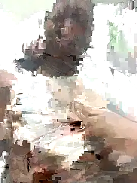 MichellePose online show from 11/19/25, 01:05