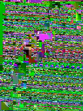 Jaydemasked online show from 02/09/26, 09:57