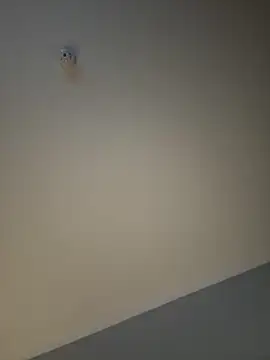 busty p online show from 09/11/25, 09:04