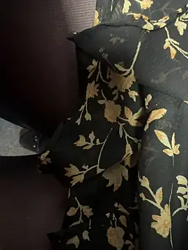 Snapshot of HiddenHoneyLDN chatting on 02/09/26, 10:08 HiddenHoneyLDN online show from 02/09/26, 10:08