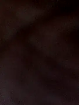 Snapshot of kaviyaponnu0987 chatting on 12/04/25, 08:28 kaviyaponnu0987 online show from 12/04/25, 08:28