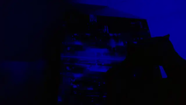 Snapshot of alexgiraldo__ chatting on 05/27/26, 06:49 alexgiraldo online show from 05/27/26, 06:49