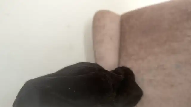 Curvysapphire online show from 04/20/26, 01:25