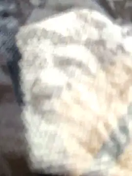 Zoe73  online show from 02/25/26, 08:18