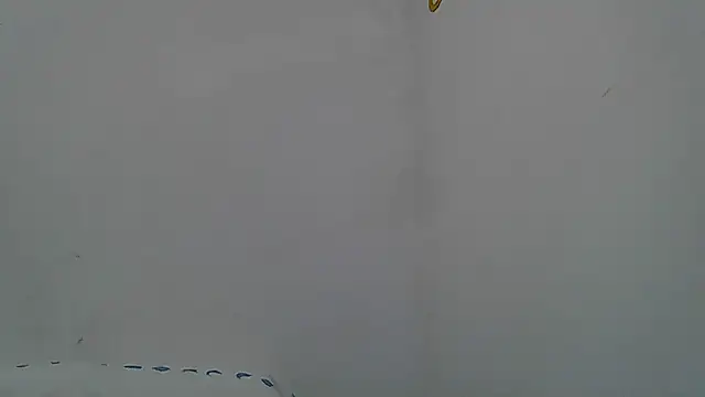 Kevintdx online show from 04/11/26, 02:05