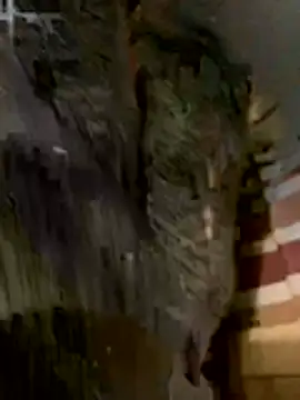 anhye8 online show from 02/08/26, 03:37