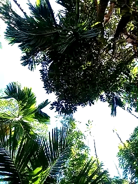 Johlrd online show from 11/19/25, 05:18