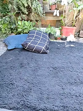 bad wolf28 online show from 11/11/25, 12:16