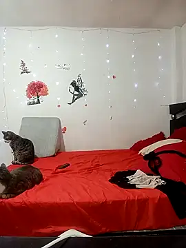 Lady 16 online show from 02/17/26, 01:57