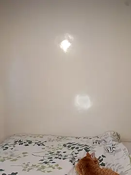 Nedambale online show from 02/03/26, 10:53