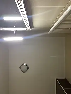 Lexi Storm online show from 03/02/26, 06:14