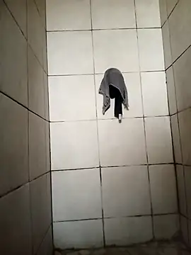 analdestoryer online show from 11/04/25, 07:07