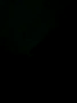 Liendro online show from 11/20/25, 01:39