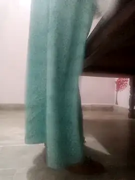 Snapshot of Anamika-singhania chatting on 12/20/25, 06:53 Anamika-singhania online show from 12/20/25, 06:53