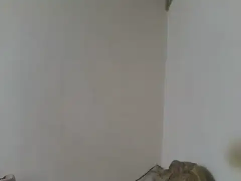 elpoop7305 online show from 04/23/26, 07:49