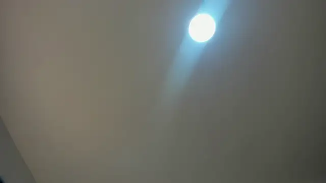 VioletRose as online show from 11/30/25, 08:13