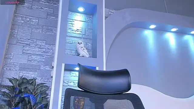 dominic de luca online show from 04/22/26, 04:04