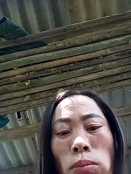 CoMay003 online show from 11/15/25, 06:22