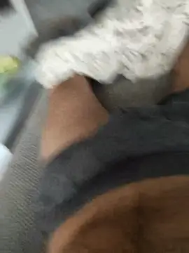 hansvonerotic1 online show from 12/02/25, 11:59