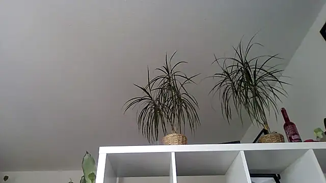 bigcockjohnxxxxx online show from 11/13/25, 11:20