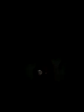 philefc online show from 11/03/25, 07:42