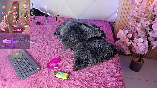 veronica hill  online show from 05/30/26, 07:44
