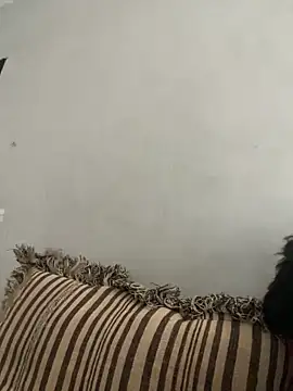 NoddingScorpion online show from 11/10/25, 08:35