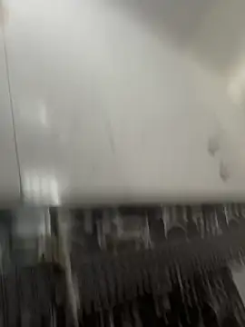 NoddingScorpion online show from 03/08/26, 10:30