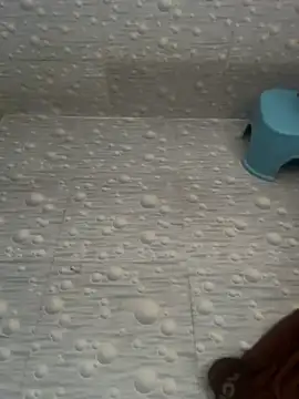 NoddingScorpion online show from 03/28/26, 05:07