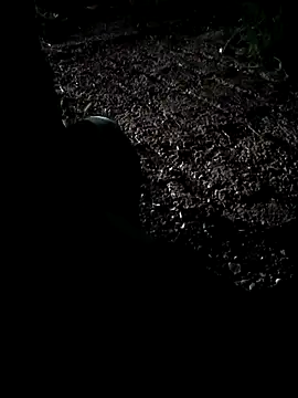 mhdai1208 online show from 05/03/26, 11:55