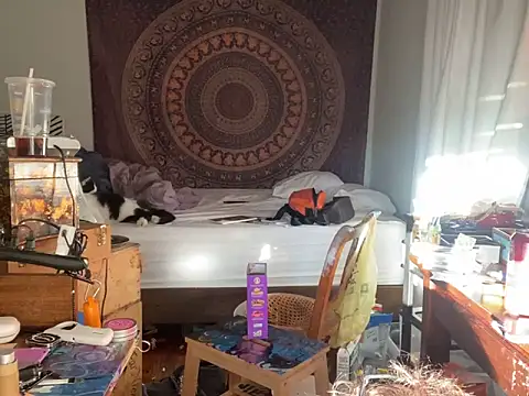 XanderOzzz online show from 11/06/25, 09:48