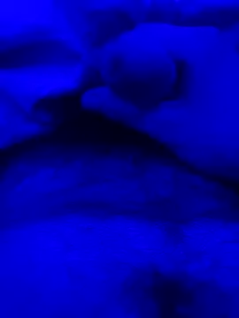 Derfick200 online show from 12/02/25, 07:09