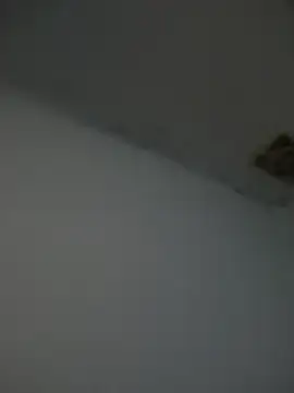 Snapshot of Kriffert chatting on 11/01/25, 11:51 Kriffert online show from 11/01/25, 11:51