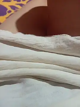 NoHA 66 online show from 11/02/25, 06:27