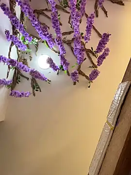 burbuja02 online show from 04/04/26, 02:36