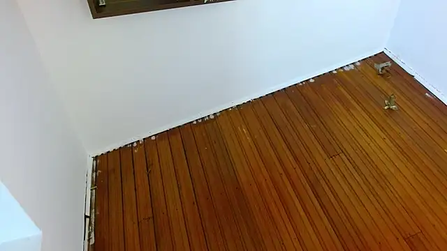 shelbygp online show from 03/05/26, 12:01