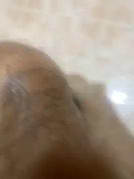 Binuthomas online show from 11/24/25, 05:01